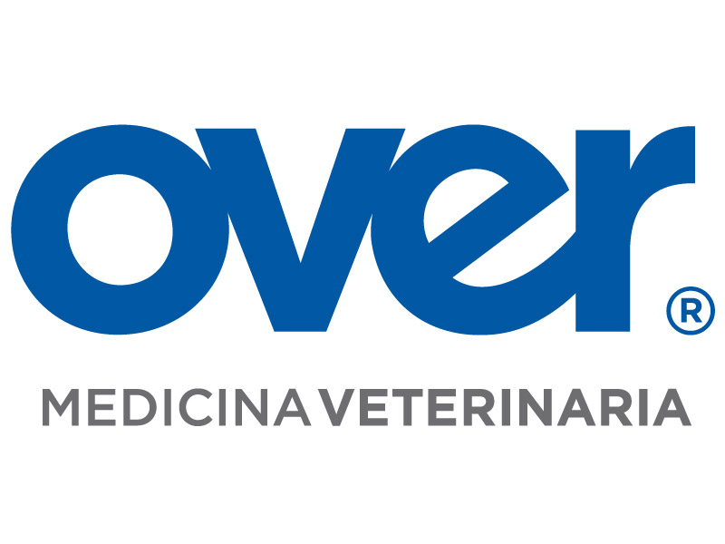 Logo Over